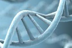 短信狂轰滥炸软件